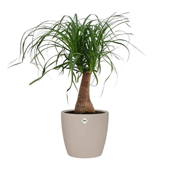 brussels rond roues 35cm mushroom beige